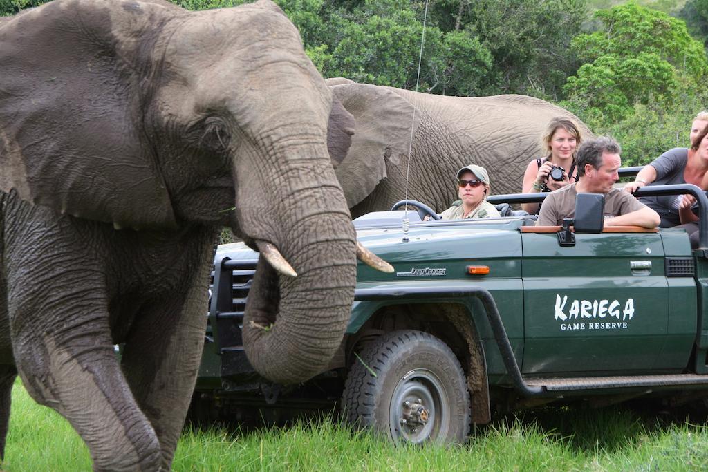 Kariega Game Reserve River Lodge Kenton-on-Sea Esterno foto