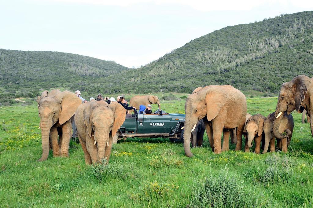 Kariega Game Reserve River Lodge Kenton-on-Sea Esterno foto