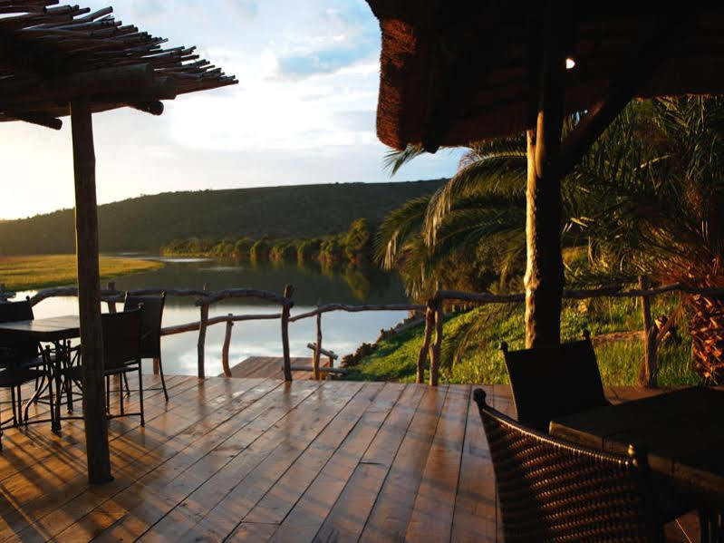 Kariega Game Reserve River Lodge Kenton-on-Sea Esterno foto