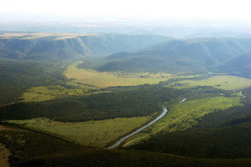 Kariega Game Reserve River Lodge Kenton-on-Sea Esterno foto